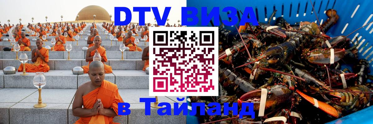 Оформление DTV визы под ключ: стоимость и тарифы, только загранпаспорт - 05.12.2025 